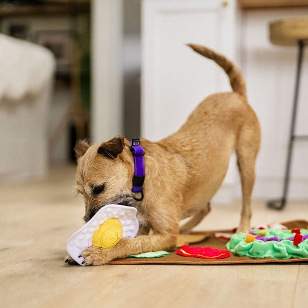 Ostīšanas paklājiņš Brunch – P.L.A.Y.-image-1