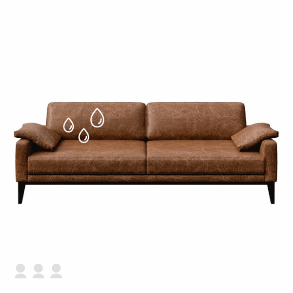 Trīsvietīga dīvāna ar ādas polsterējumu impregnēšana, impregnēšana bez tīrīšanas