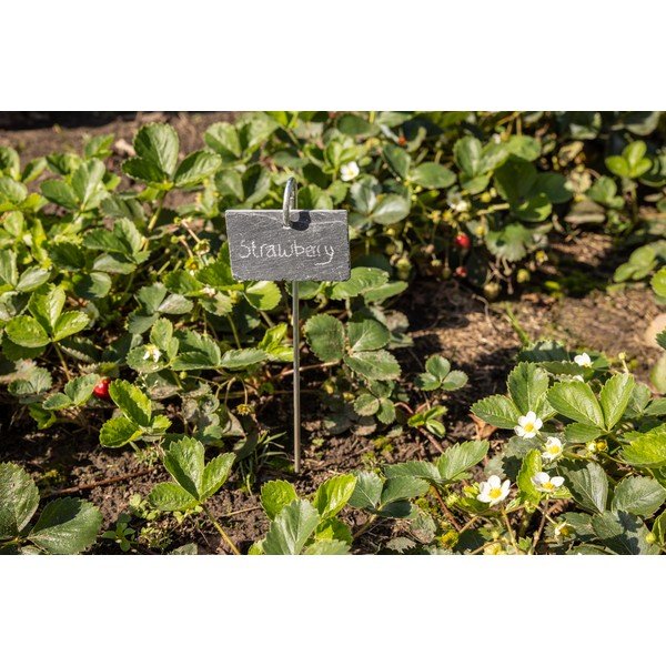 Norādes zīmīte uz kociņa Esschert Design-image-3