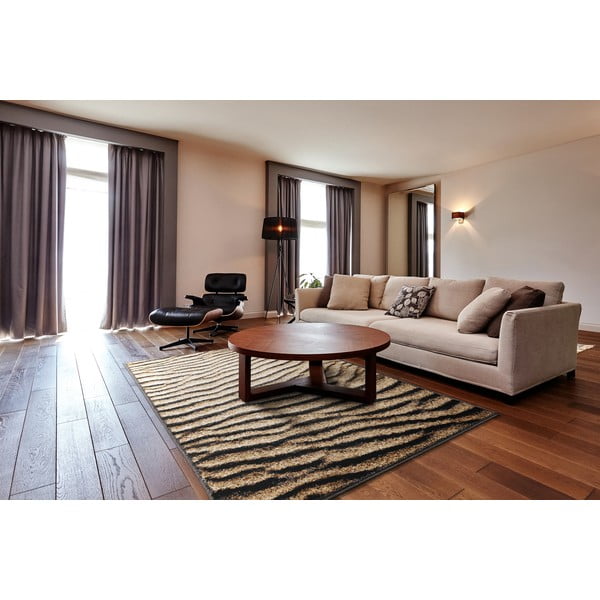 Brūns paklājs 160x220 cm Avanti – FD-image-1