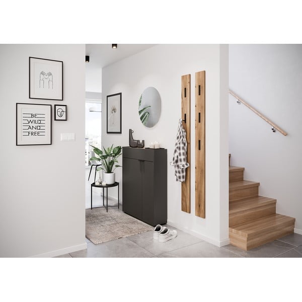 Antracīta pelēka priekšnama iekārta Ameca – Germania-image-1