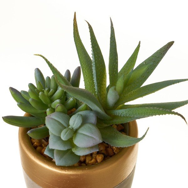 Mākslīgie augi (4 gab.) (augstums 17 cm) Cactus – Casa Selección-image-3