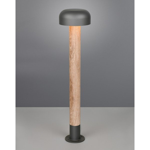 Stabveida āra gaismeklis ø 19 cm Fraser – Trio-image-1