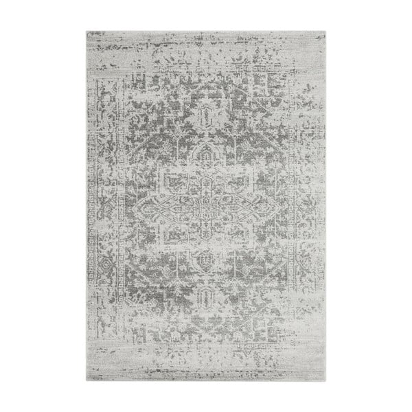 Pelēks paklājs 200x290 cm Nova – Asiatic Carpets