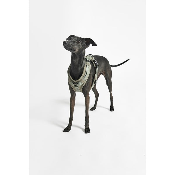 Zaļa plecu siksna XS garums 25 cm Modena Grolive XS – MiaCara-image-3