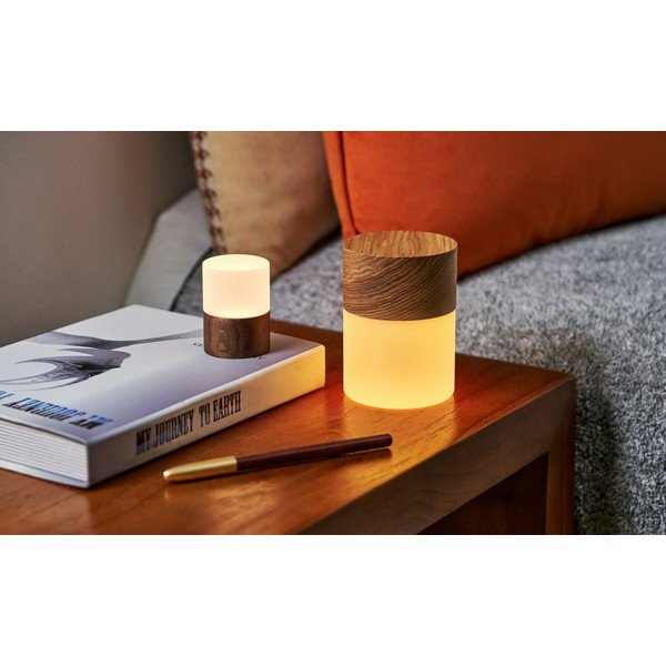 Dabīga toņa gaismas dekors ar USB ø 4,5 cm Lemelia – Gingko-image-3