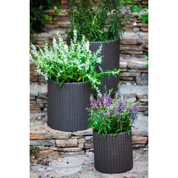 Tumši pelēks puķu pods Keter Planter, ø 35 cm-image-1