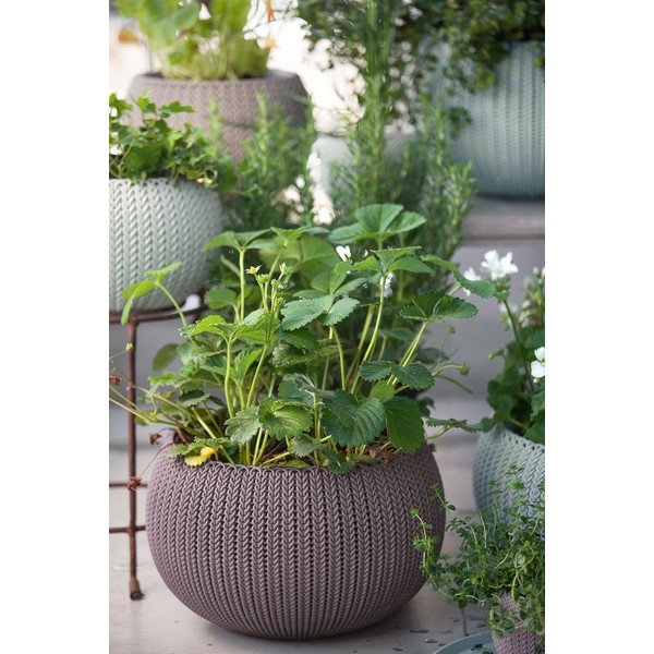 Plastmasas piekarināms un pie sienas liekams puķu pods ø 36 cm Cozy – Keter-image-1