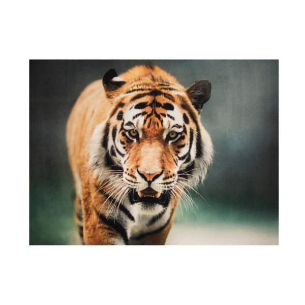 Paklājs Hanse Home Tiger, 190 x 140 cm