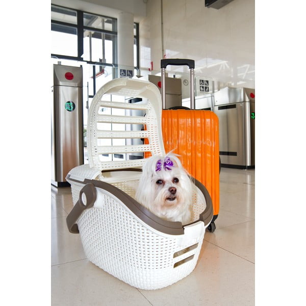 Balta pārvadāšanas kaste mājdzīvniekiem Curver Vintage-image-1