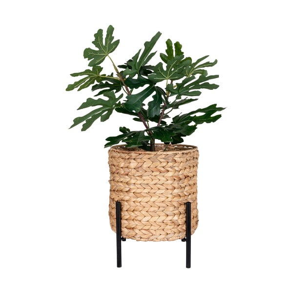 Puķu pods no ūdens hiacintes ø 26,5 cm Antas – House Nordic-image-2