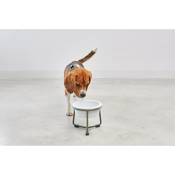 Porcelāna bļodiņa ar pamatni suņiem ø 20 cm Pranzo Grolive M – MiaCara-image-2