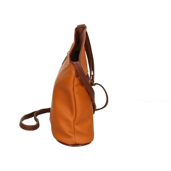 Konjaka brūna ādas somiņa Chicca Borse Garturo-image-2