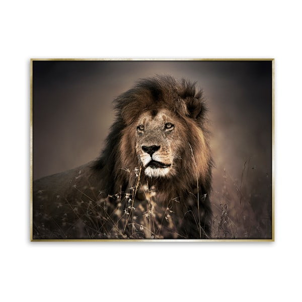 Lauvas glezna uz audekla Styler Zelta lauva, 62 x 82 cm