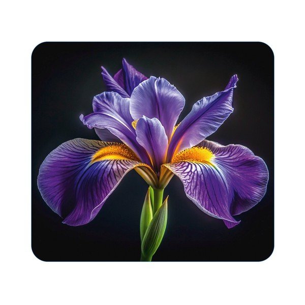 Rūdīta stikla plīts sienas aizsargplāksne 50x56 cm Abdeckplatte  – Wenko