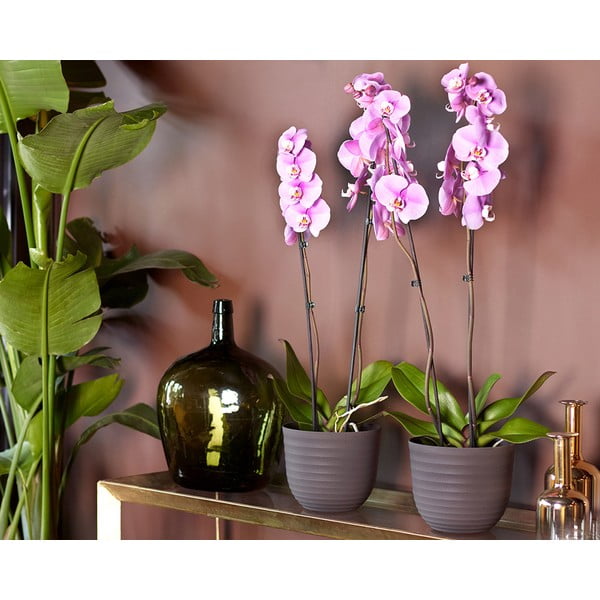 Puķu pods no pārstrādātas plastmasas ø 20 cm Havana – Artevasi-image-2