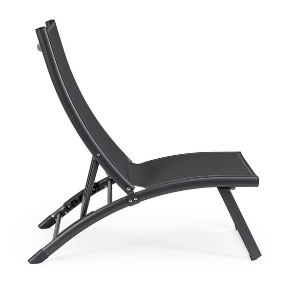 Antracīta pelēks metāla dārza zvilnis Taylor – Bizzotto-image-2