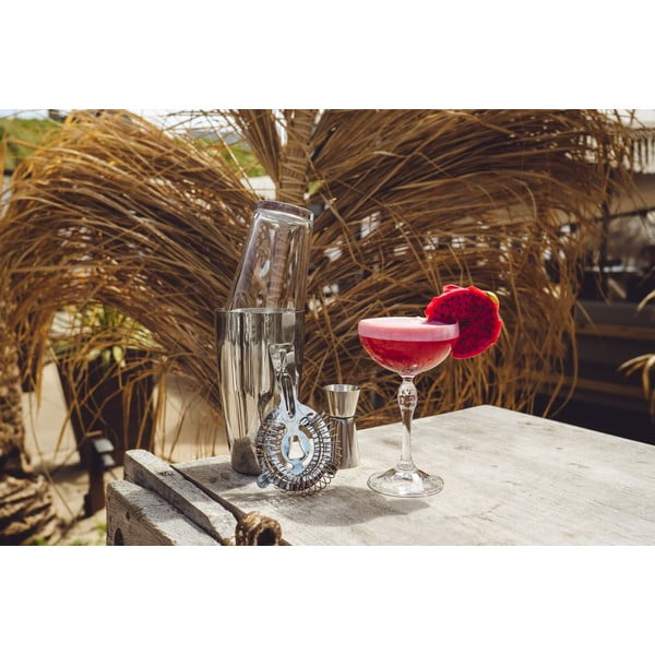 Nerūsējošā tērauda kokteiļu komplekts Boston – Leopold Vienna-image-4