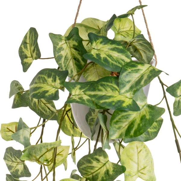 Mākslīgie augi (2 gab.) (augstums 55 cm) – Casa Selección-image-3