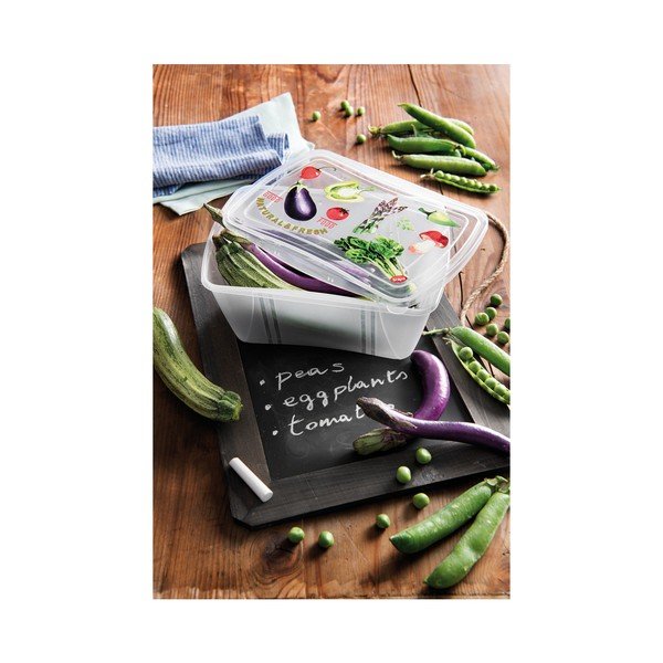 2 Snips Vintage pārtikas kārbu komplekts, 2 l-image-1