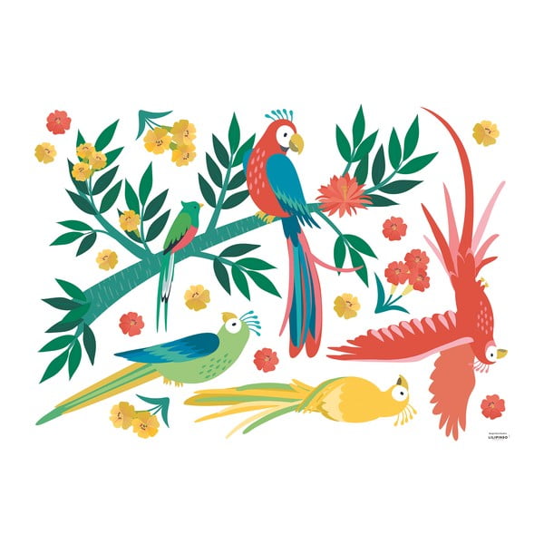 Uzlīmju loksne 90x64 cm Parrots – Lilipinso