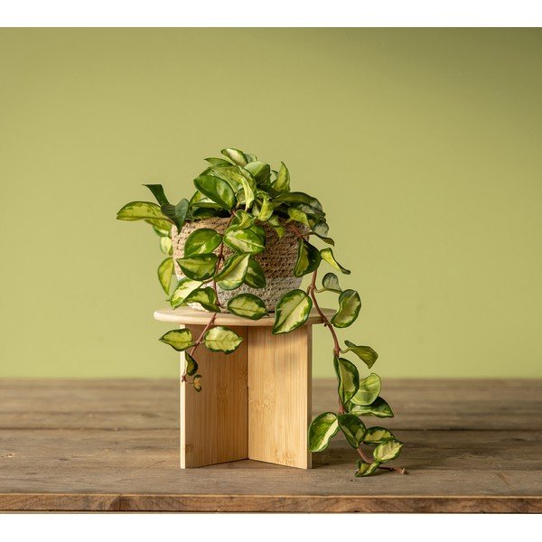 Bambusa puķu podu statīvs ø 25 cm (augstums 19,5 cm) – Esschert Design-image-1