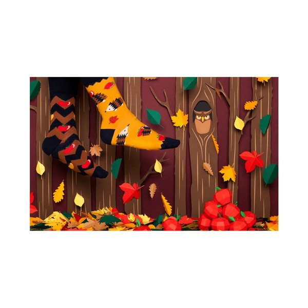 Zeķes Many Mornings Apple Hedgehog, izmērs 43-46-image-1