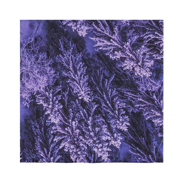 Violets paklājs Oyo home Suzzo Flower, 140 x 220 cm-image-3