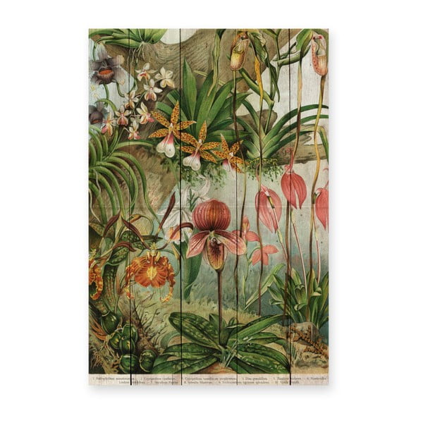 Sienas rotājums no priedes koka Madre Selva Jungle Flowers, 60 x 40 cm