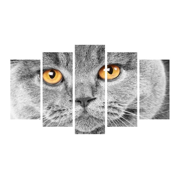 Insigne Kaķu acis, daudzdaļīga glezna, 102 x 60 cm