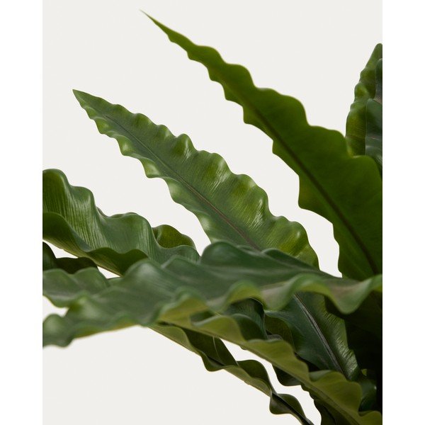 Mākslīgais sukulents (augstums 70 cm) Neottopteris – Kave Home-image-3