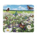 Rūdīta stikla plīts sienas aizsargplāksne 50x56 cm – Maximex
