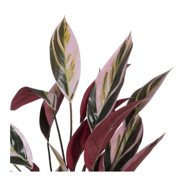 Mākslīgais augs (augstums 55 cm) Bird of Paradise – Ixia-image-1