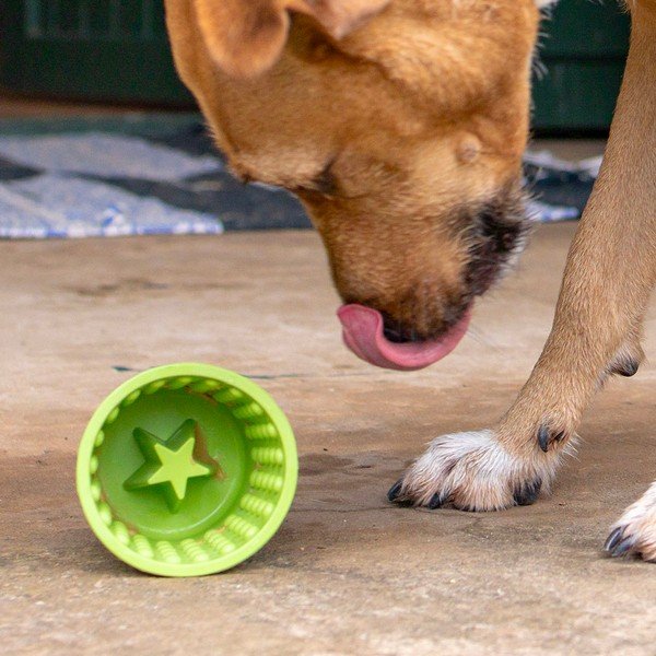 Laizīšanas bļoda Yoggie Pot Green – LickiMat-image-1