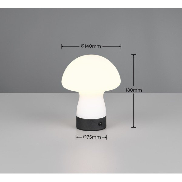 Matēti balta LED galda lampa ar stikla abažūru (augstums 18 cm) Dooley – Reality-image-4