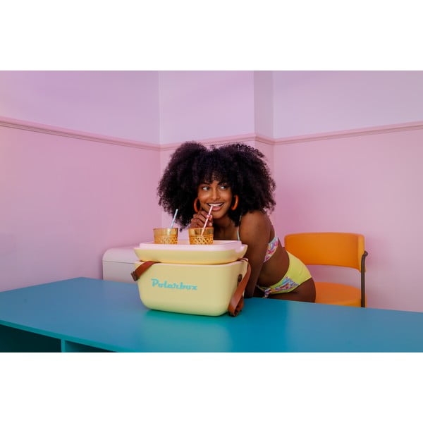 Violeta aukstumkaste 12 l Pop – Polarbox-image-1