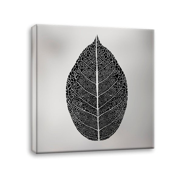 Attēls uz audekla Styler Silver Leaf, 60 x 60 cm-image-2