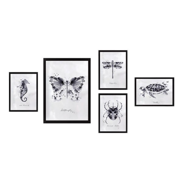 Gleznas (5 gab.) Butterfly – Wallity