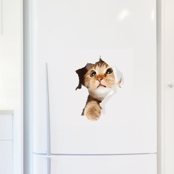 Uzlīme Ambiance Cat in Hole