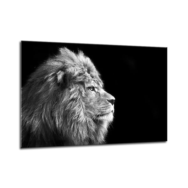 Attēls Styler Glasspik Audekls Dzīvnieki Lauva, 70 x 100 cm