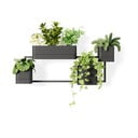 Piekaramie plastmasas puķu podi garšaugiem (4 gab.) Cubiko – Umbra