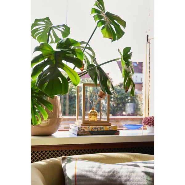 Keramikas puķu poda apvalki (2 gab.) ø 31 cm Vibe – Hübsch-image-4