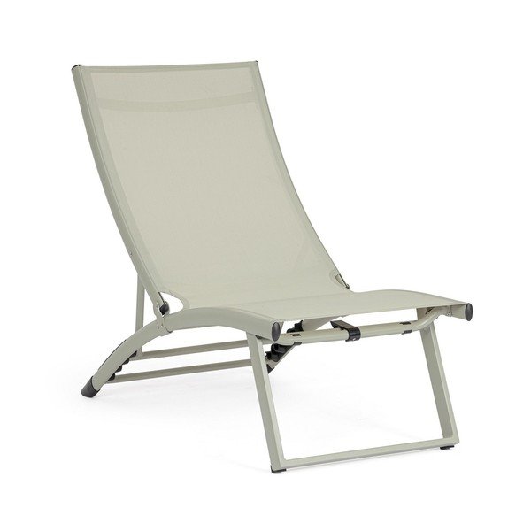 Pelēkbrūns metāla dārza zvilnis Taylor – Bizzotto