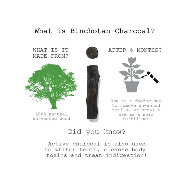 Binchotan kokogles filtrs Black + Blum Eau Good, 1 gab.-image-1