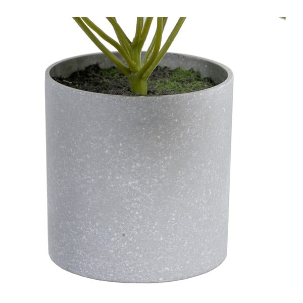 Mākslīgais augs (augstums 21 cm) Syngonium – Ixia-image-1