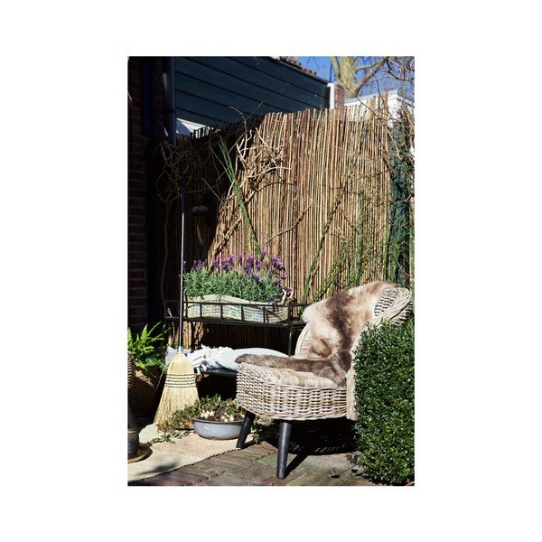 Rattan krēsls WOOOD Sara-image-1