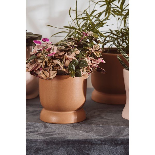 Brūns keramikas puķu pods Bahne & CO, ø 10,5 cm-image-2