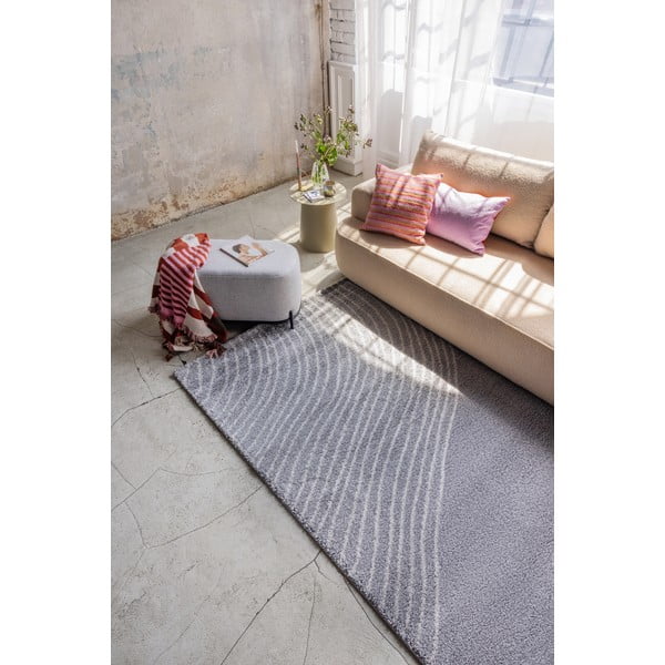 Pelēks paklājs 160x230 cm Coastalina – Bonami Selection-image-1