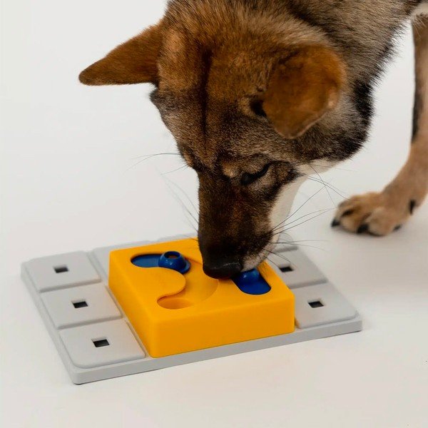 Rotaļlieta suņiem Kaya – Pawzler-image-2