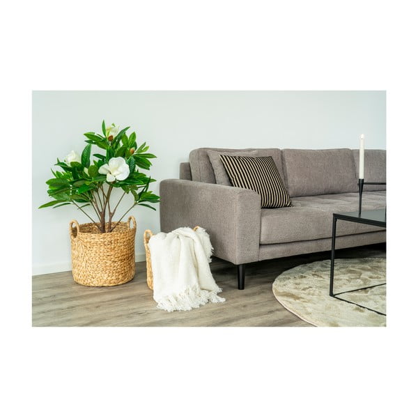 Sega 164x127 cm Salir – House Nordic-image-1